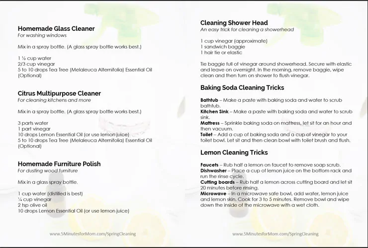 Natural Cleaner Recipes Free Printable