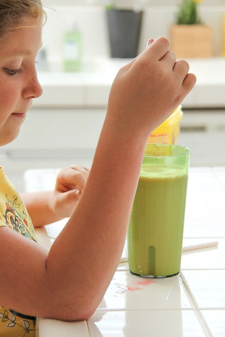 How Keep Your Kitchen Clean All Day Long (Even With Kids In The House)