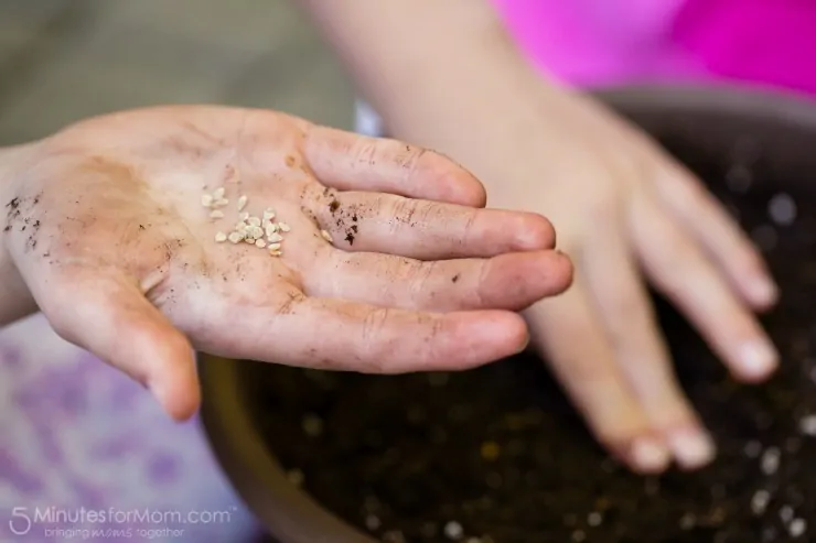 Kids Planting Kashi Seeds