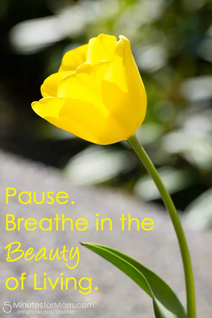 Pause Breath In The Beauty of Living