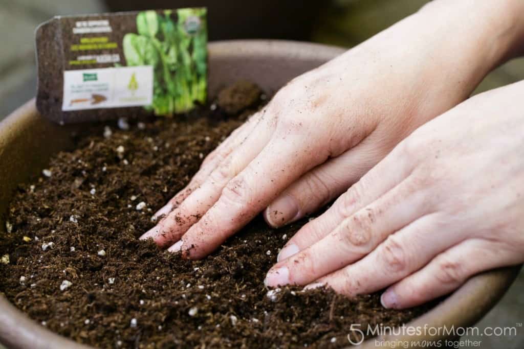 Planting Seeds In Pot 5 Minutes for Mom