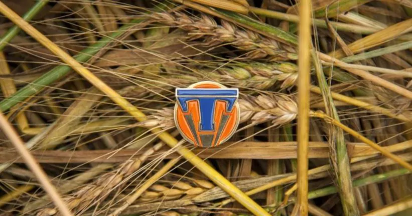 Tomorrowland Button in Wheat Field
