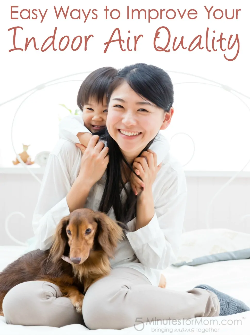 Easy Ways to Improve Indoor Air Quality