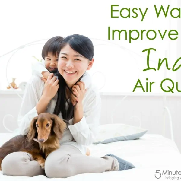 Easy Ways to Improve Your Indoor Air Quality