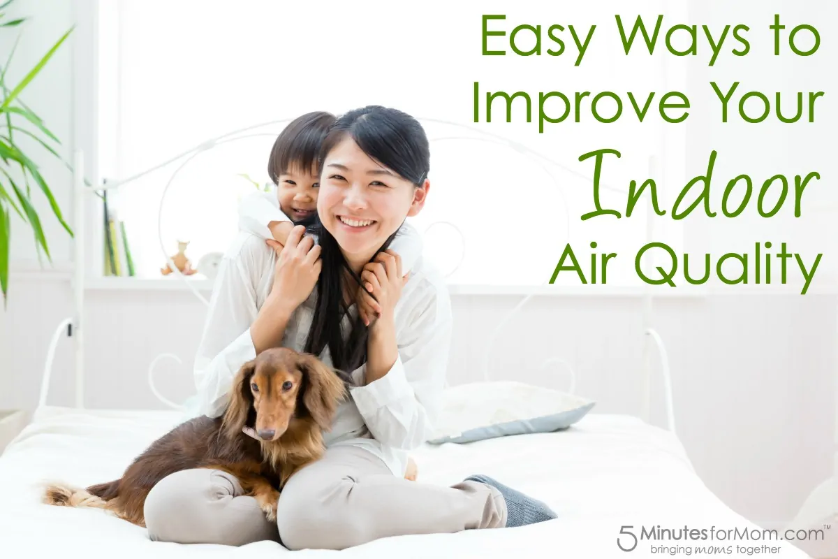 Easy Ways to Improve Your Indoor Air Quality