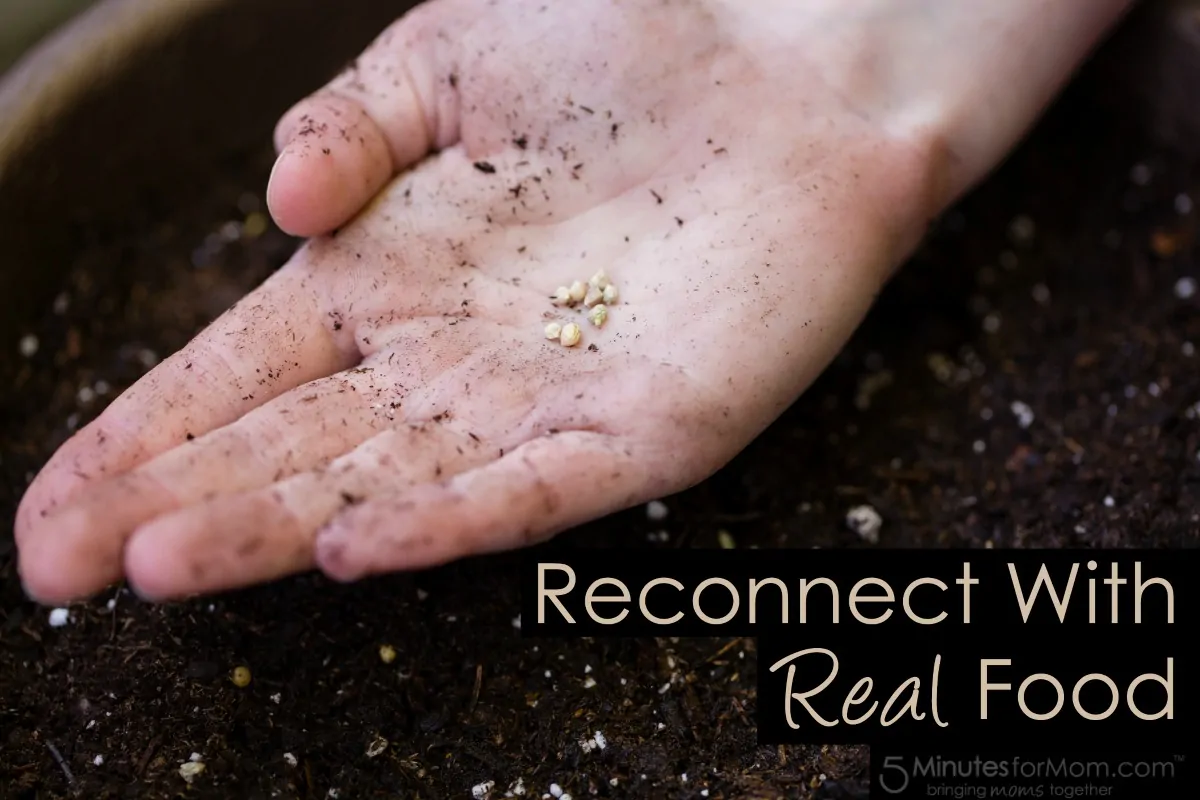 Reconnect with Real Food - PlantItForward