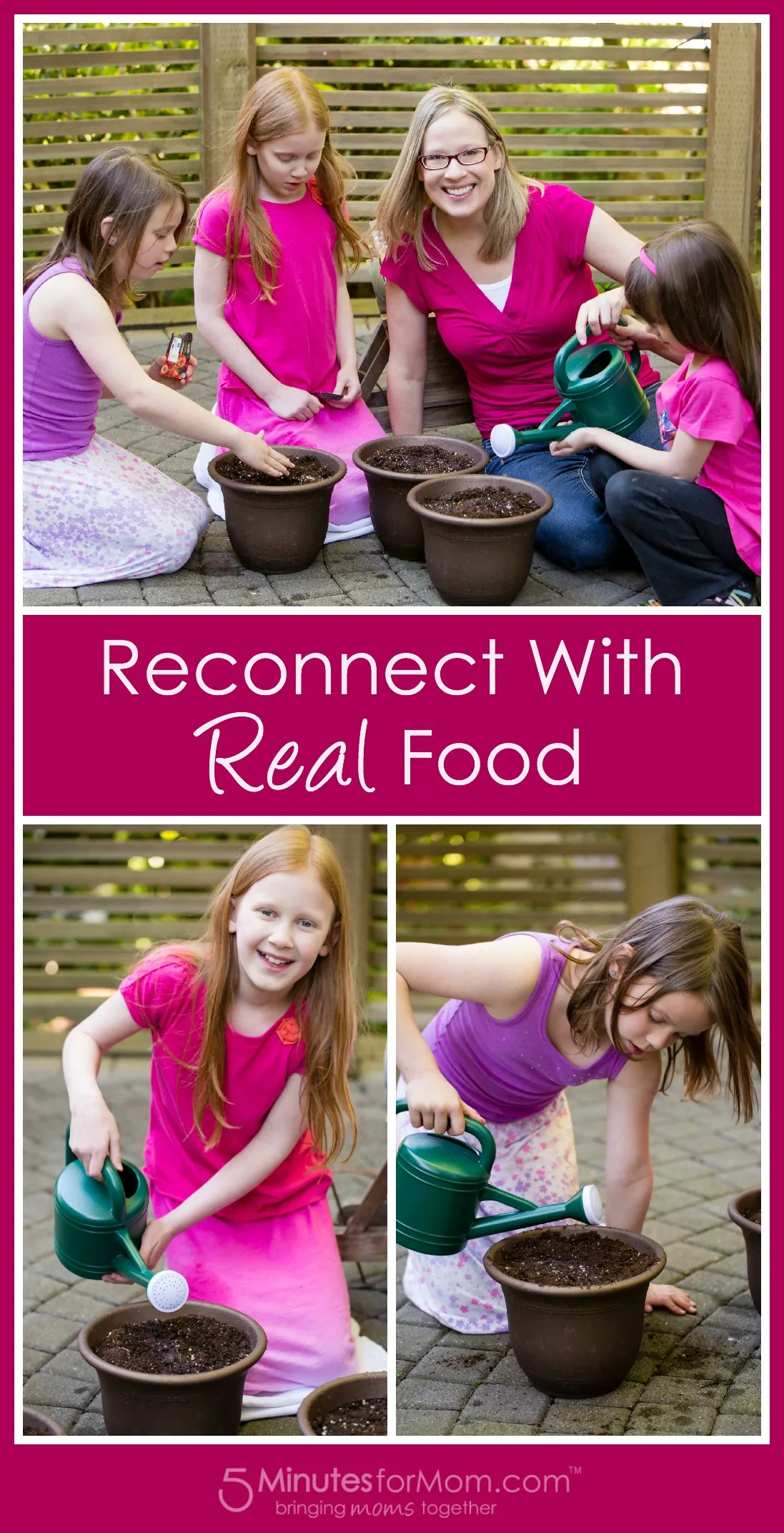 Reconnect with Real Food - PlantItForward