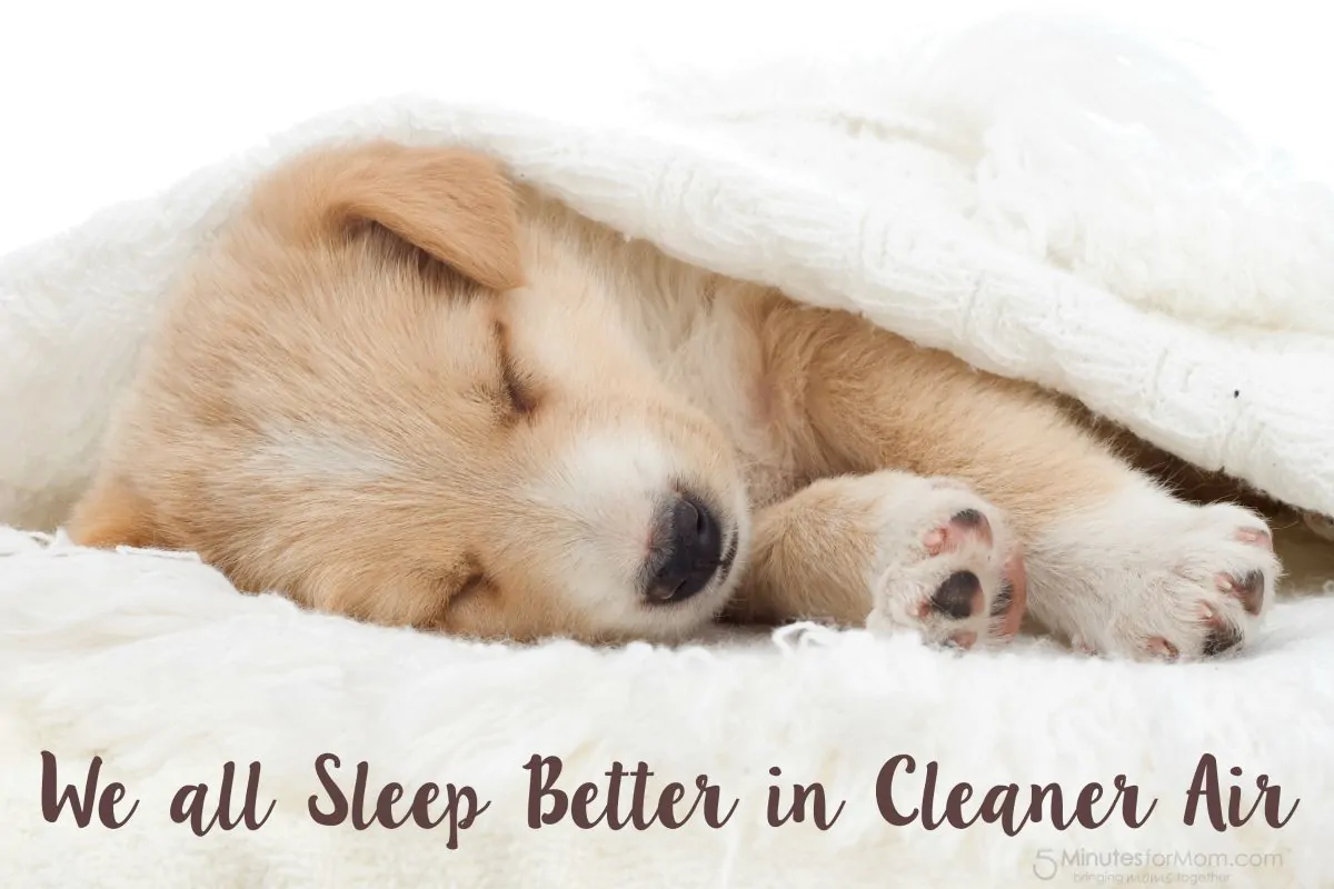 Sleep Better in Cleaner Air