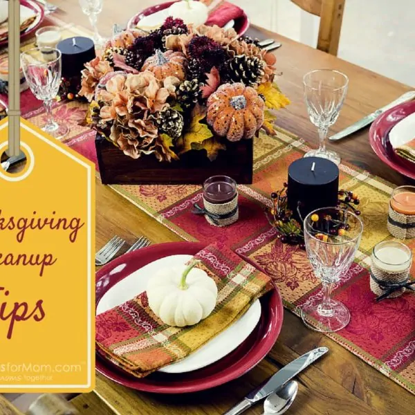 5 Tips to Make Cleaning up After Thanksgiving Dinner Easier