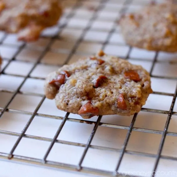 Apple and Cinnamon Chip Cookies