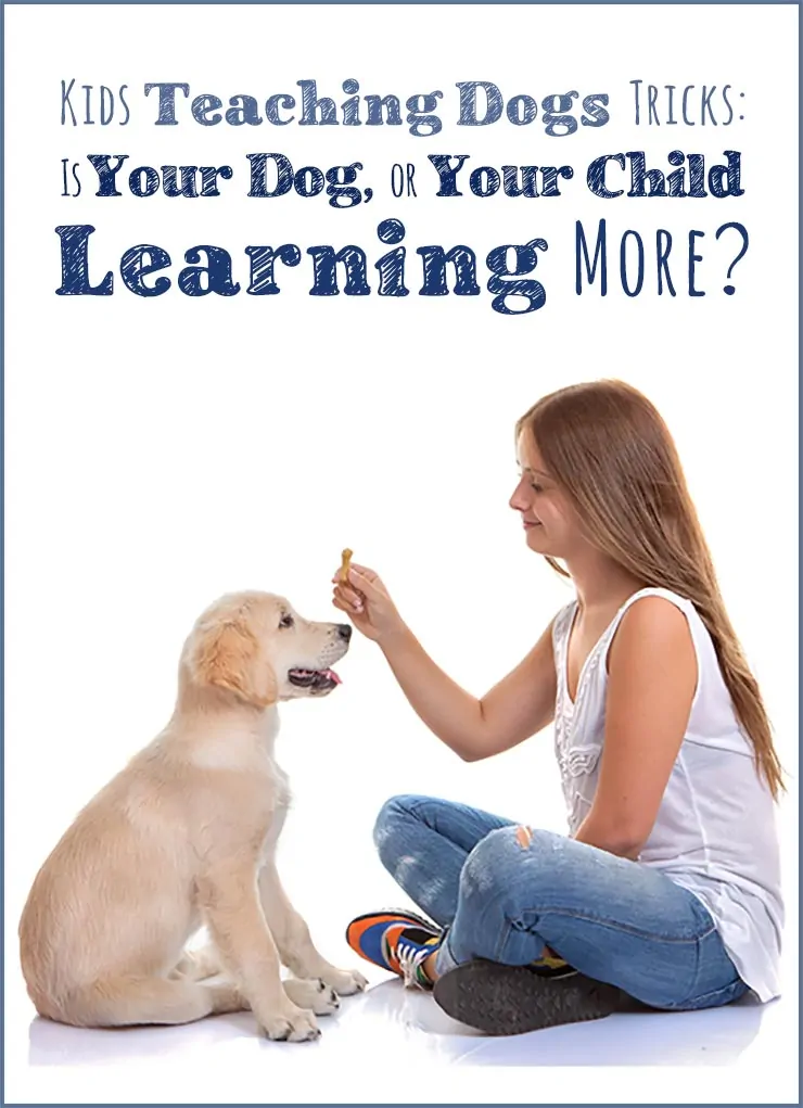 Kids Teaching Dogs Tricks Is Your Dog or Your Child Learning More?