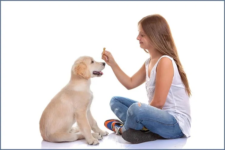 Kids Teaching Dogs Tricks Is Your Dog or Your Child Learning More?
