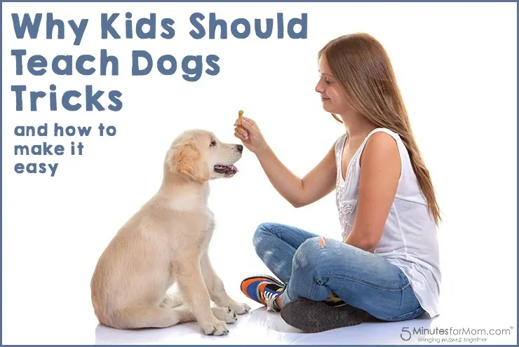 Why kids should teach dogs tricks