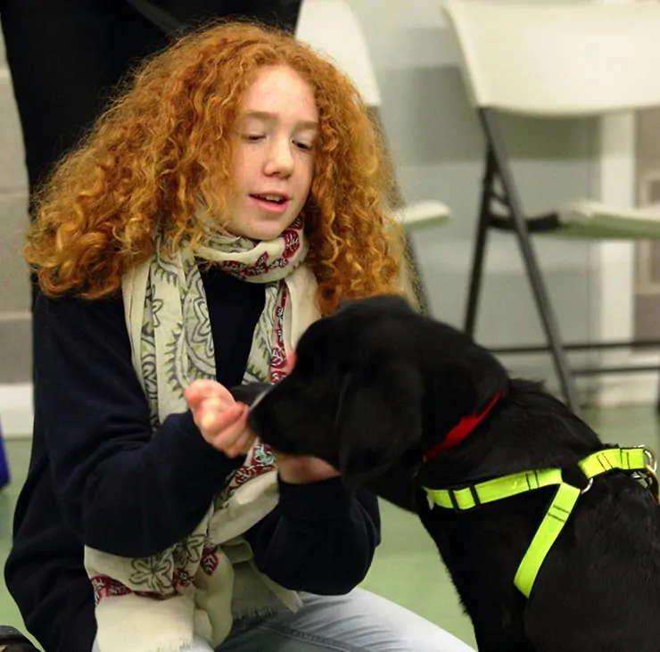 Kids Teaching Dogs Tricks Is Your Dog or Your Child Learning More?