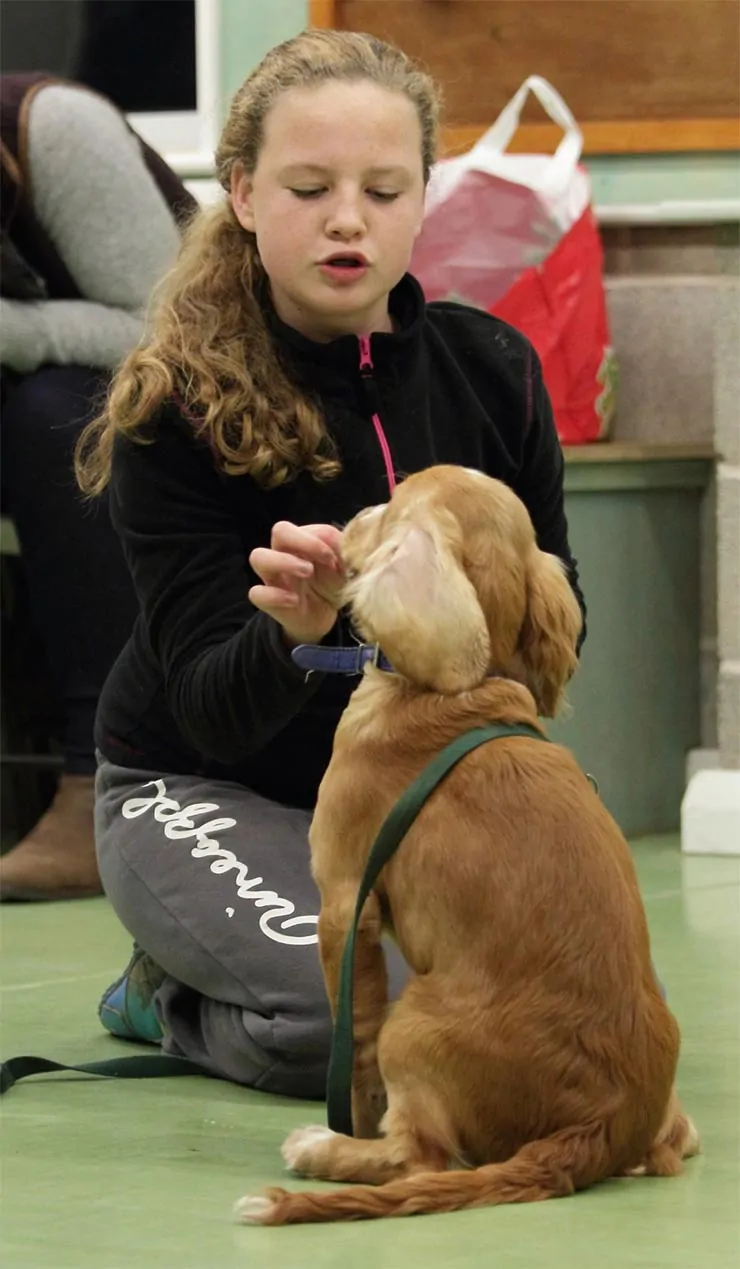 Kids Teaching Dogs Tricks Is Your Dog or Your Child Learning More?