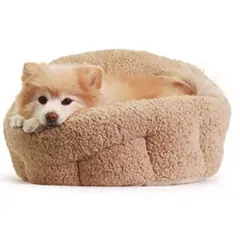 dog bed