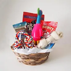 pet gift basket