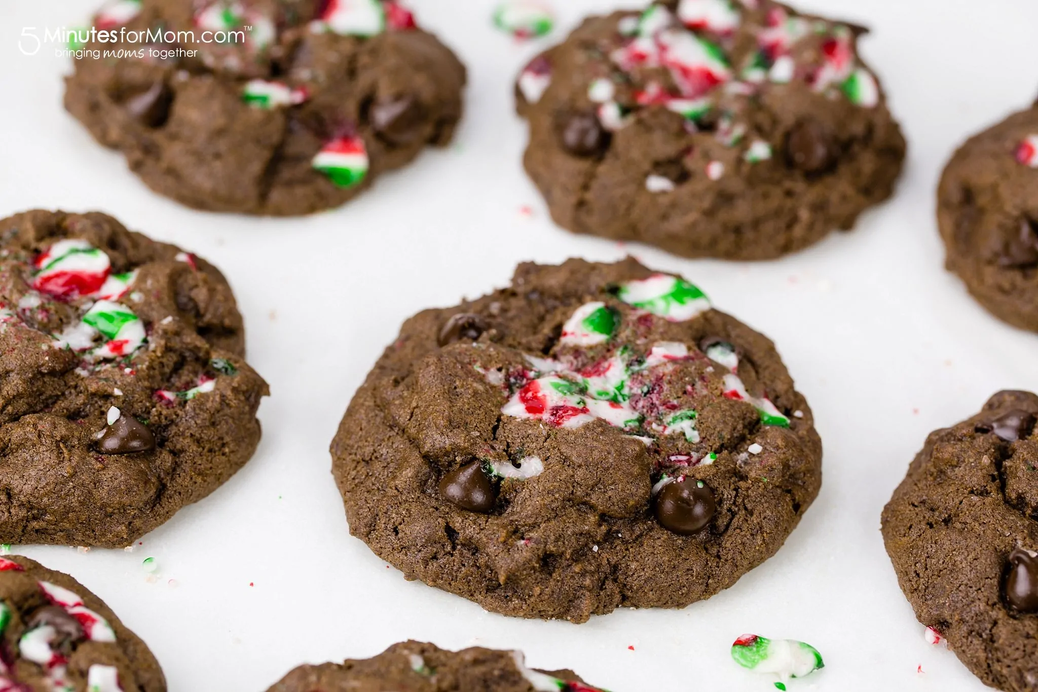 Dark Chocolate Chip Christmas Cookies