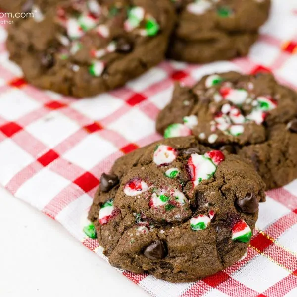 Dark Chocolate Chip Christmas Cookies