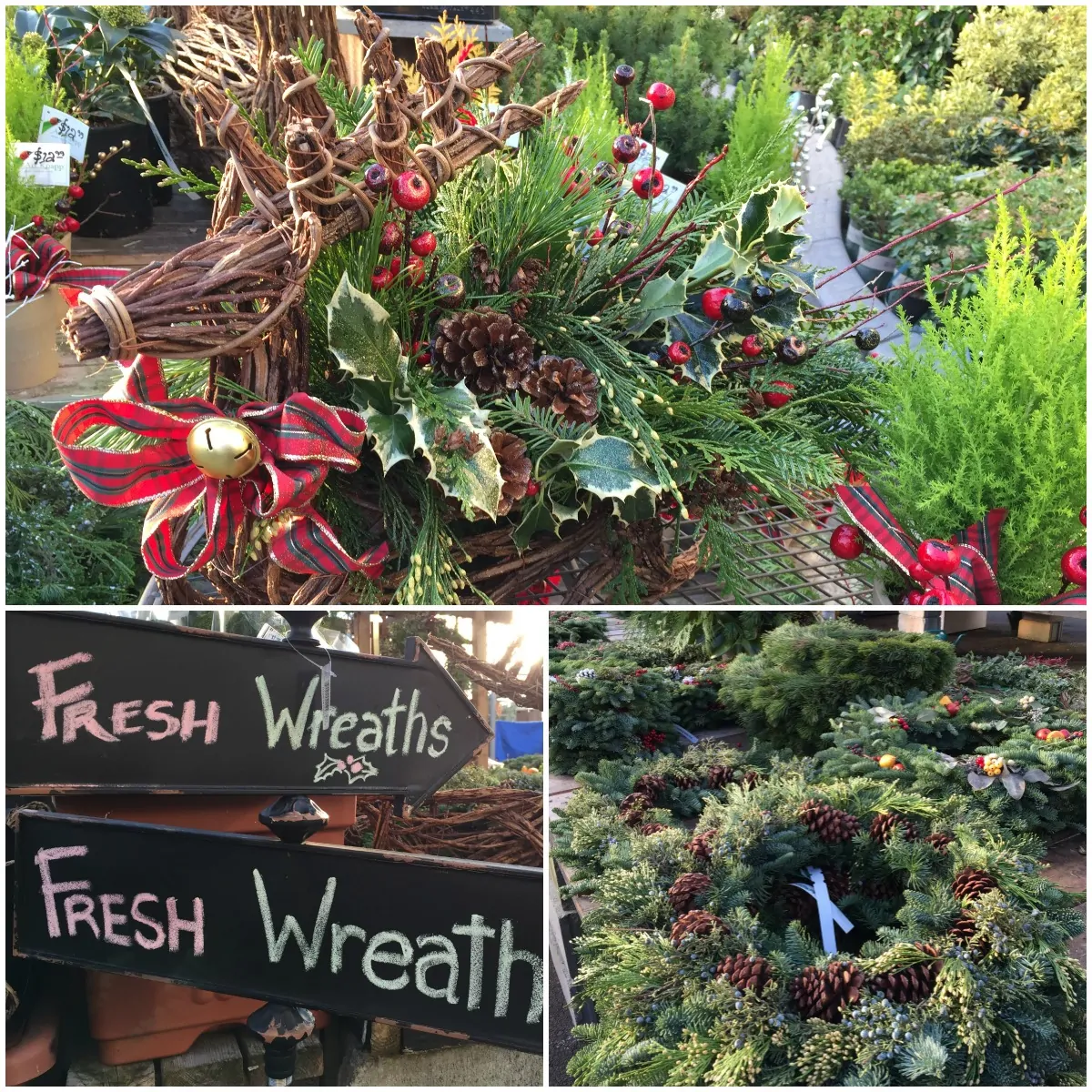 Fresh Wreaths at Art Knapp