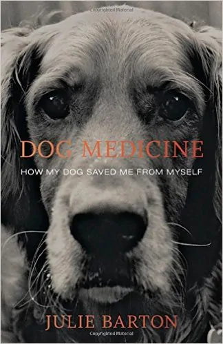 dog medicine