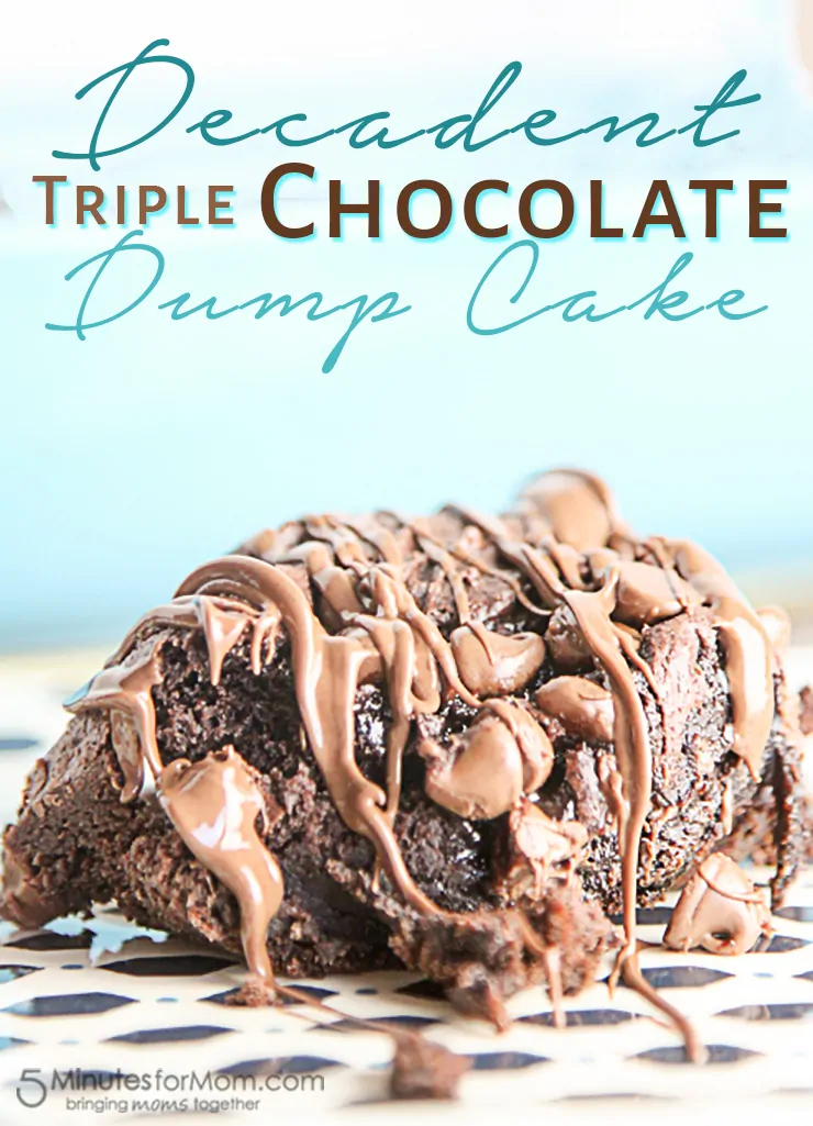 Decadent Triple Chocolate Dump Cake with only 4 ingredients!