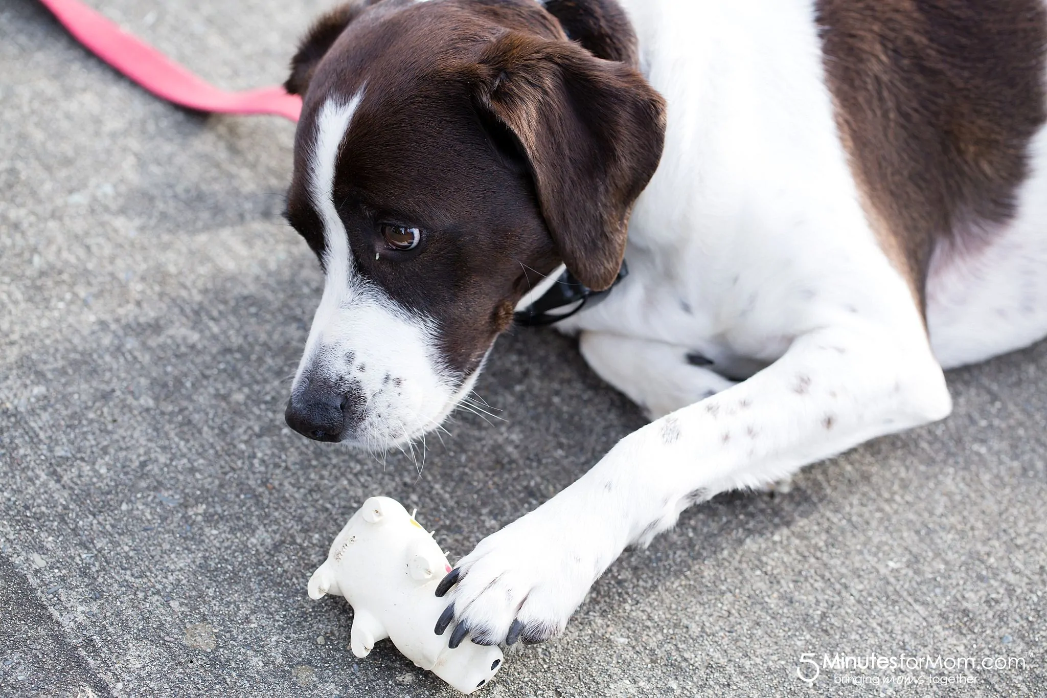 AJ found a toy