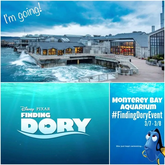 Finding Dory Press Event in Monterery