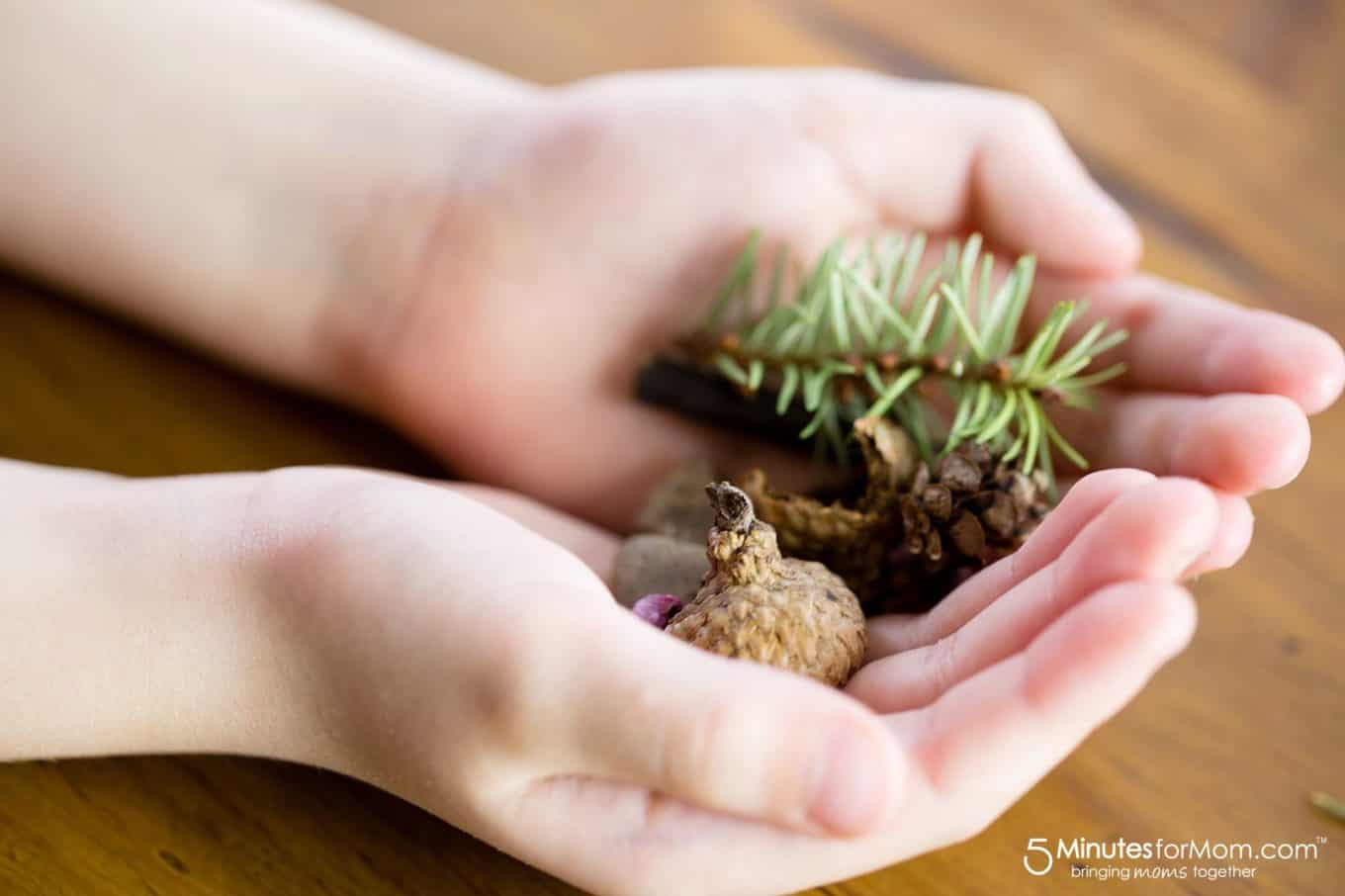 Nature Pocket Art - Beautiful Nature Craft for Kids