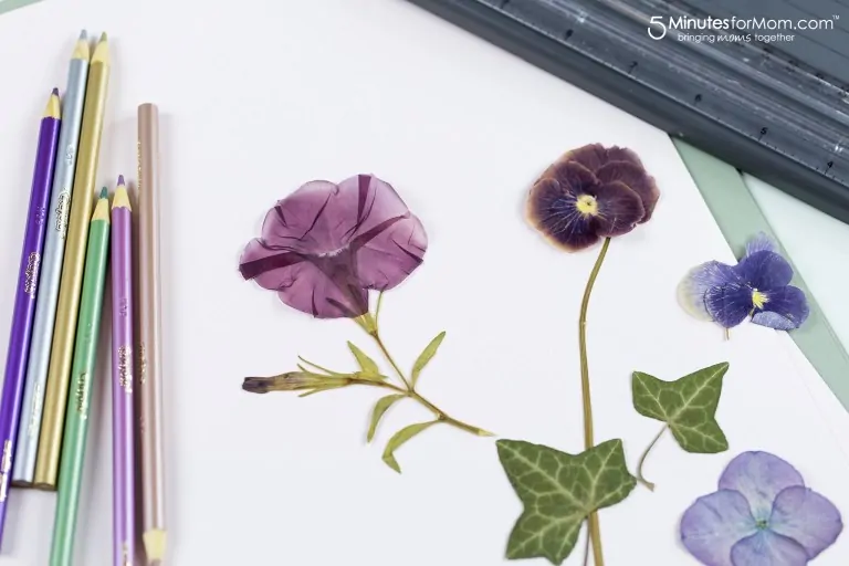 Pressed Flower Crafts