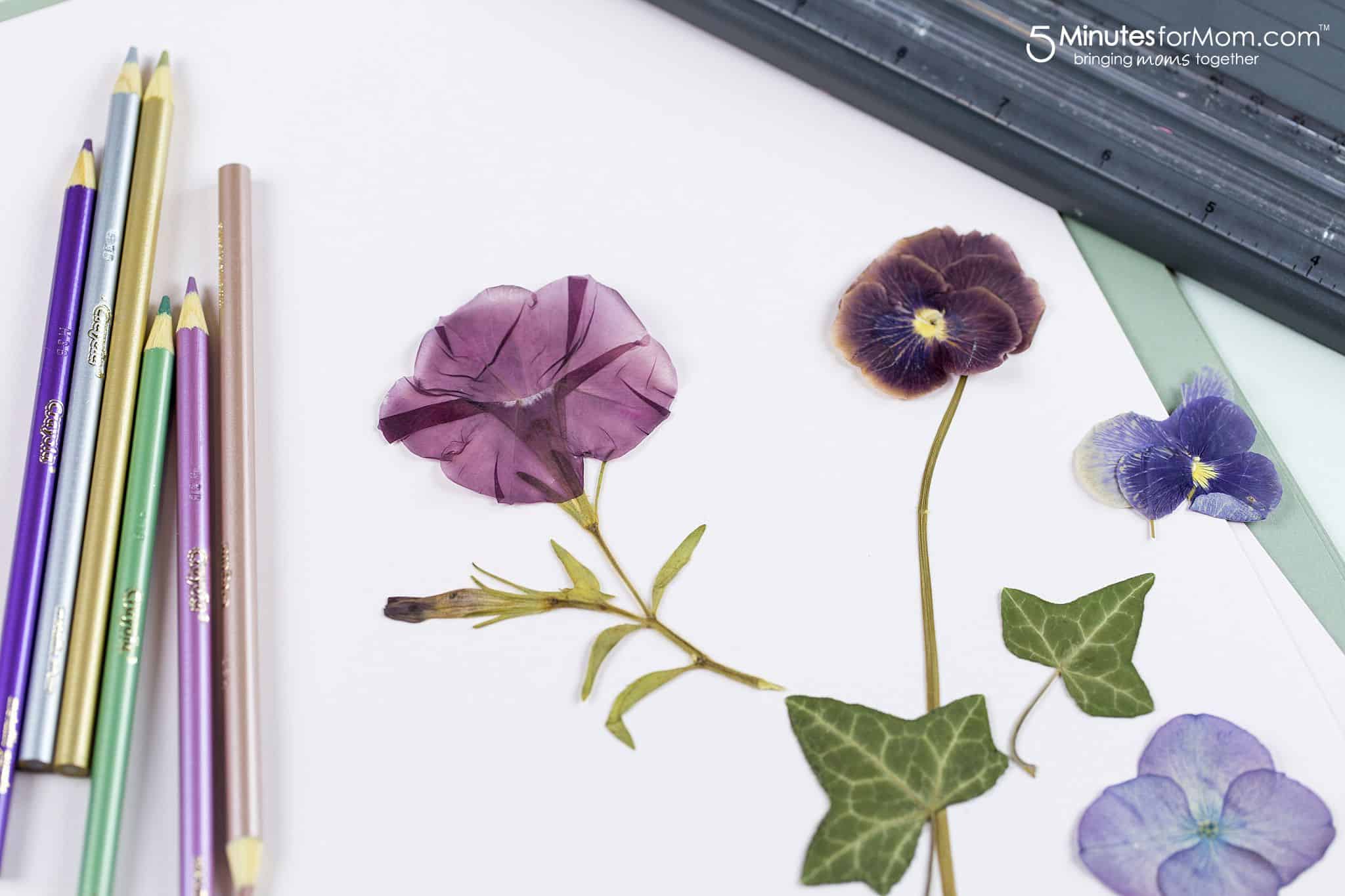 Pressed Flowers And Leaves Craft Ideas For Kids 5 Minutes For Mom Pressed Flowers And Leaves Craft Ideas For Kids 5 Minutes For Mom
