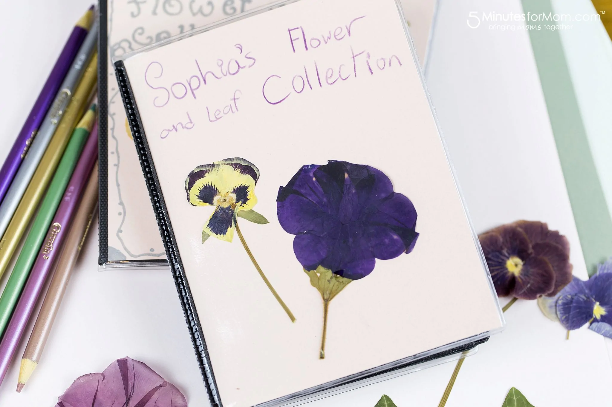 15 Pressed Flower Crafts And Activities For Kids - Sow ʼn Sow