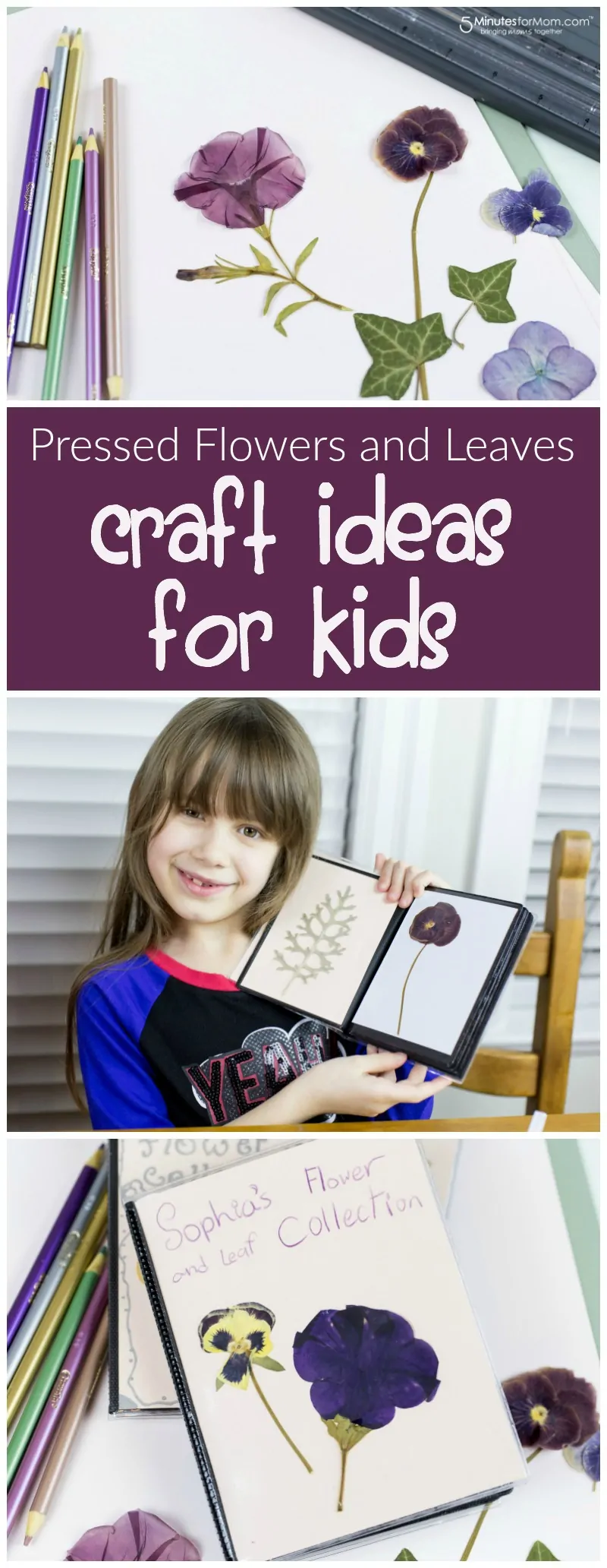 Pressed flowers and leaves - Craft ideas for Kids