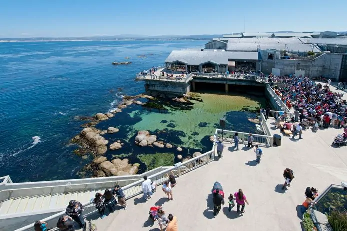 The Great Tide Pool at Monterey Bay Aquarium. ©Monterey Bay Aquarium