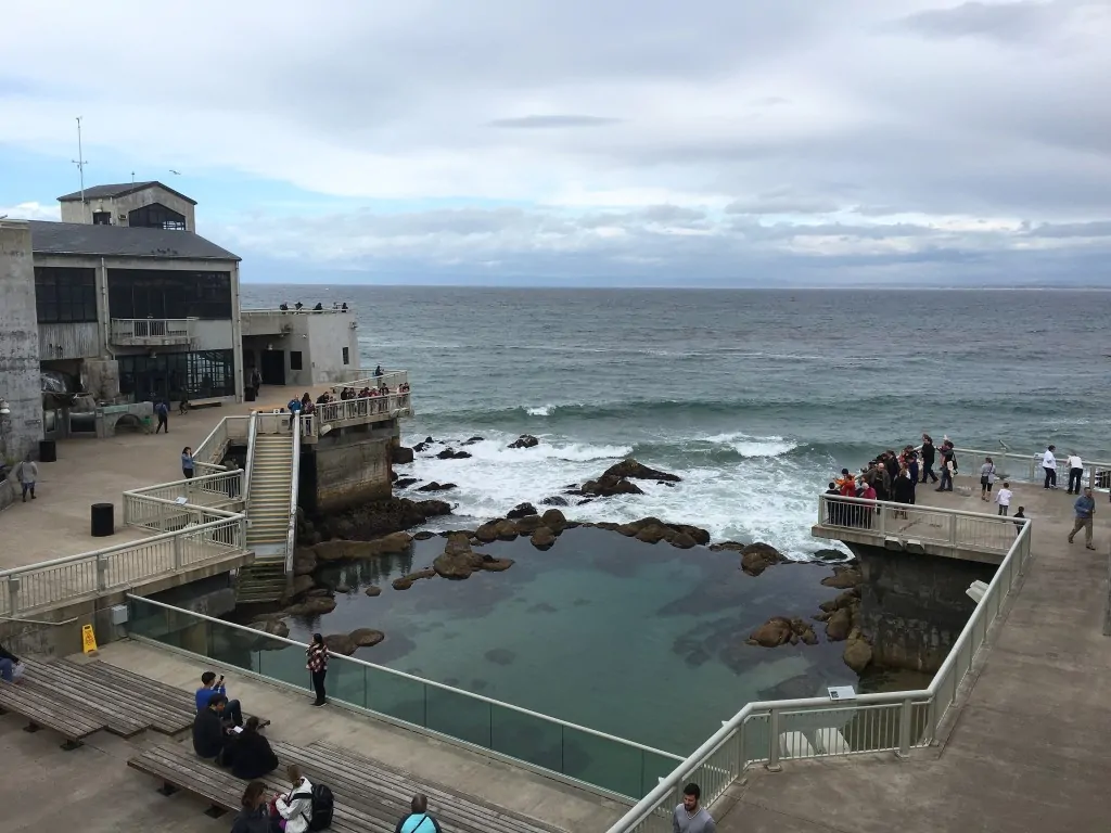 Monterey Bay Aquarium - Tide Pool