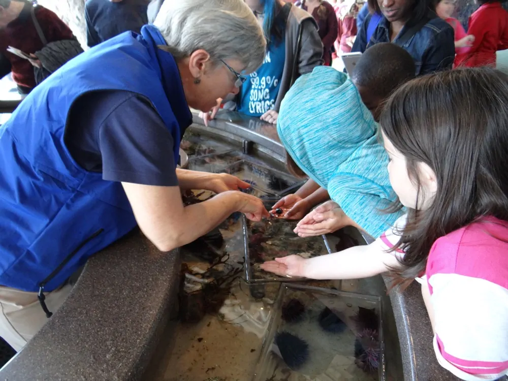 Monterey Bay Aquarium Touch Pools