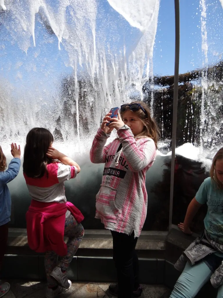 Monterey Bay Aquarium Wave Room