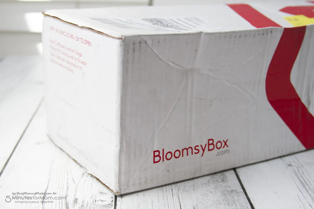 BloomsyBox flower subscription service