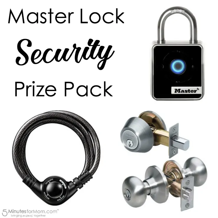 Master Lock Security Prize Pack