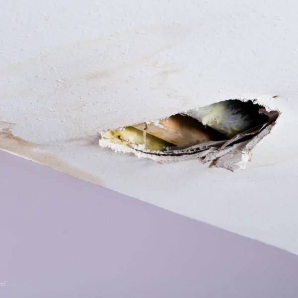 How A Crowded Cupboard Destroyed Our Basement Ceiling