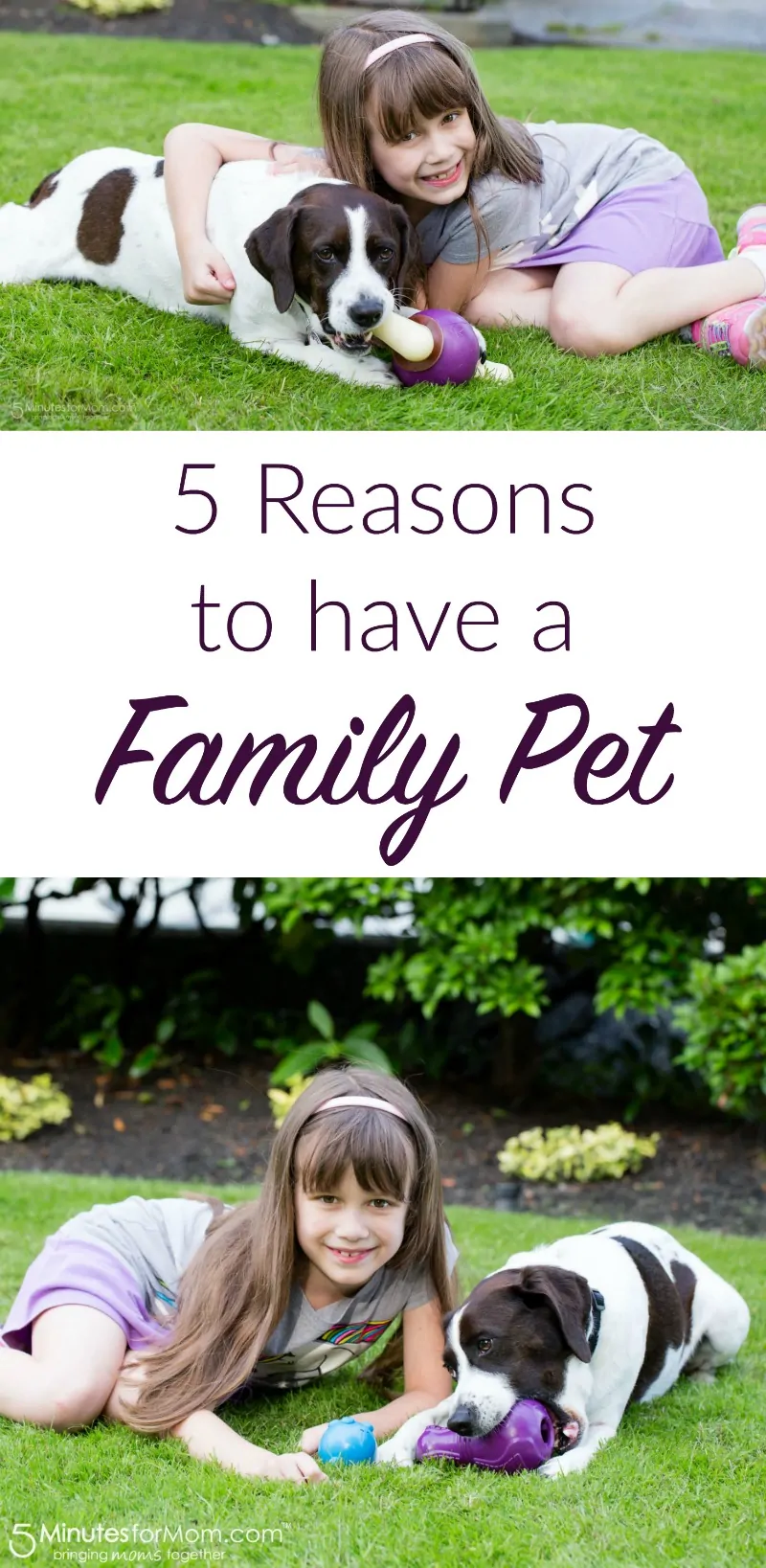 5 Reasons to Have a Family Pet