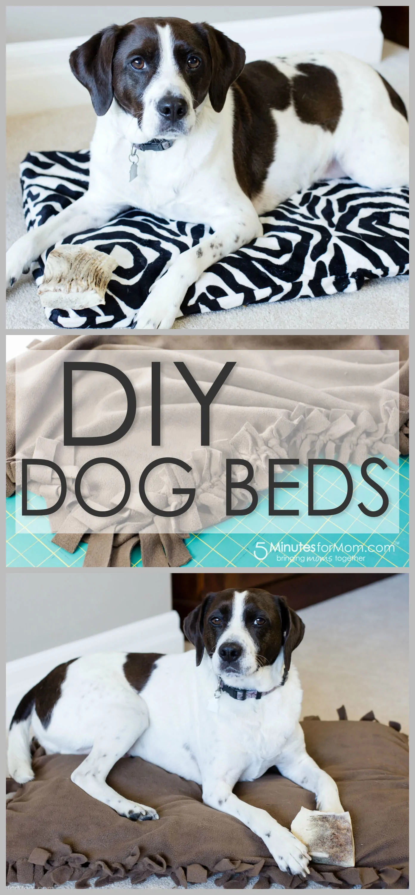 DIY dog bed tutorial - How to make a dog bed.