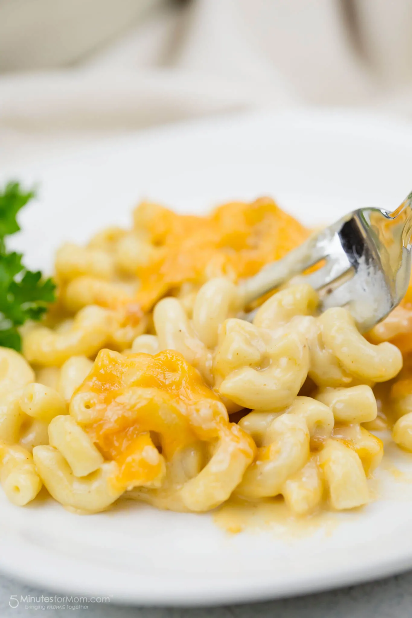 Recipe for No-Fail Creamy Macaroni and Cheese