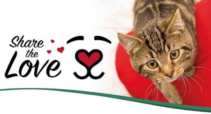 Share the Love - Charity