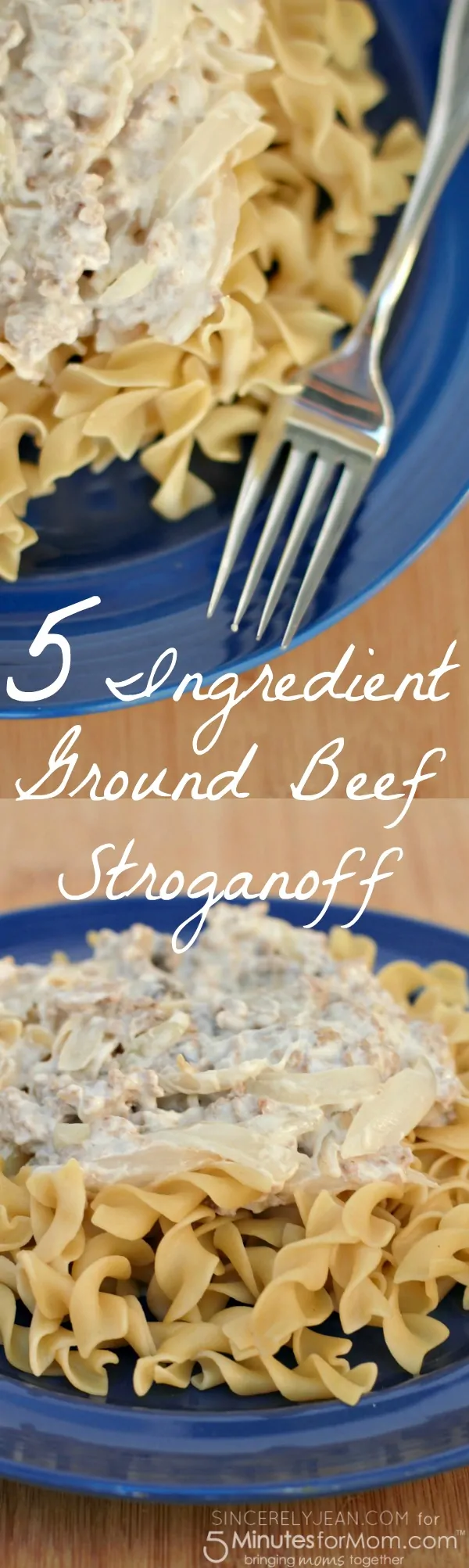 5 Ingredient Ground Beef Stroganoff