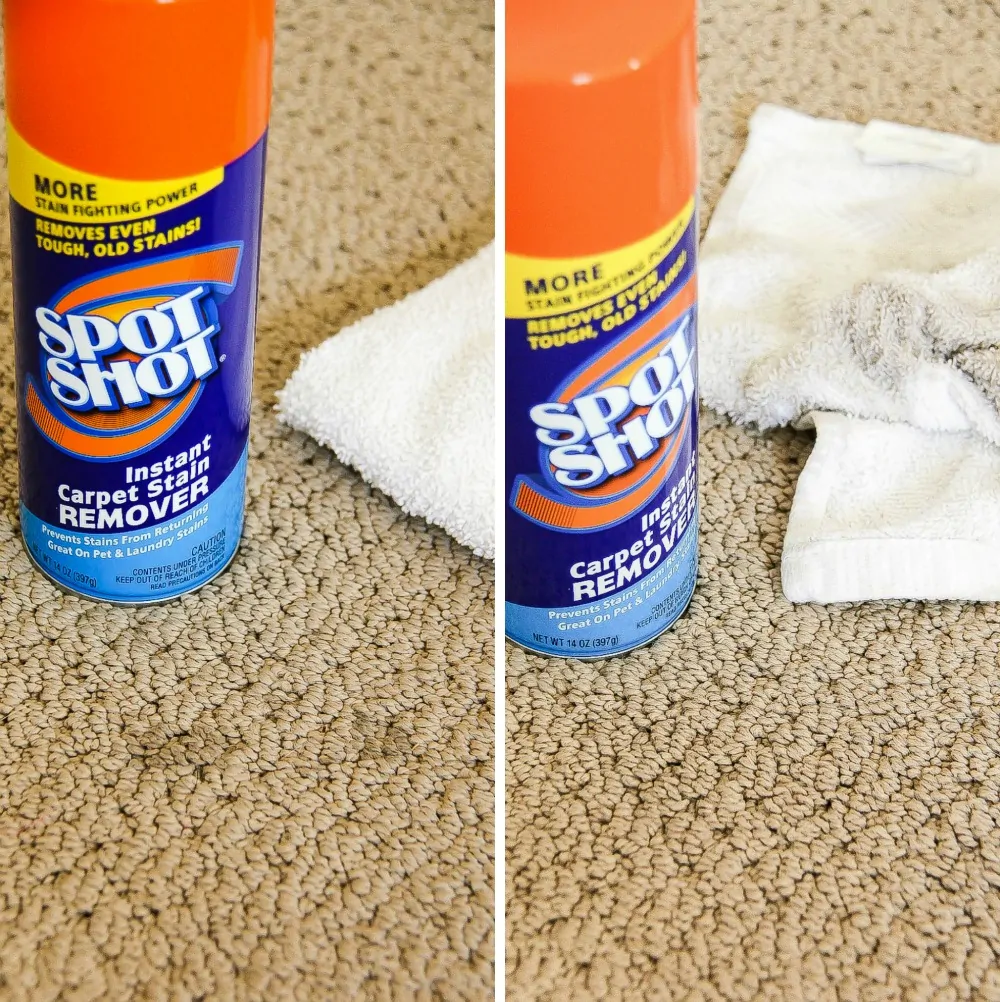 The best carpet stain remover