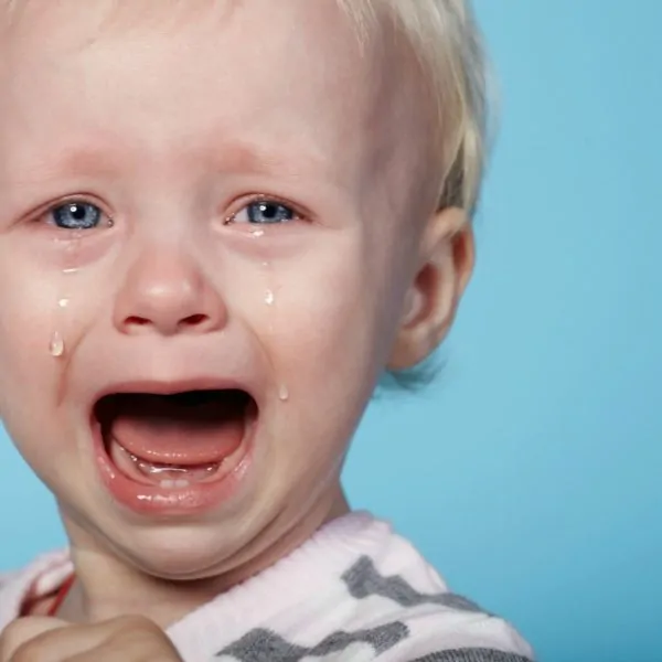 5 Types of Toddler Tantrums