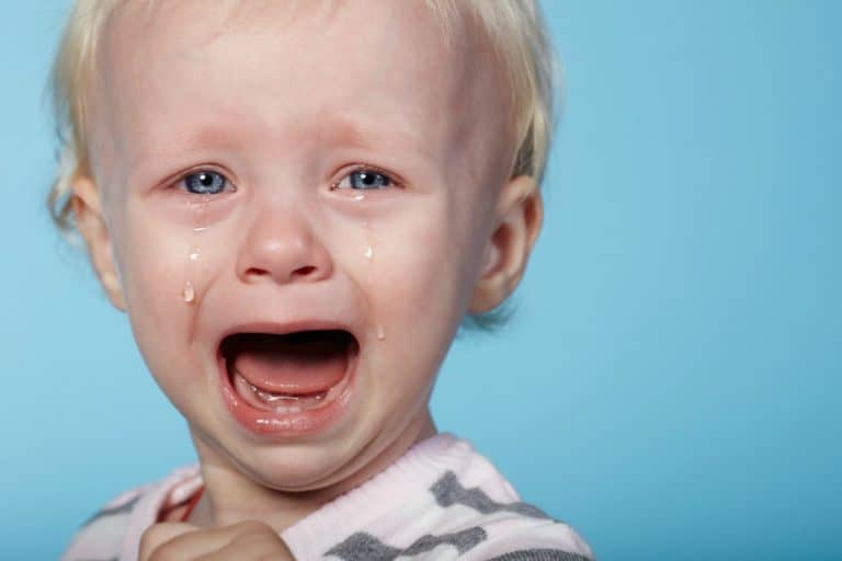 5 Types of Toddler Tantrums