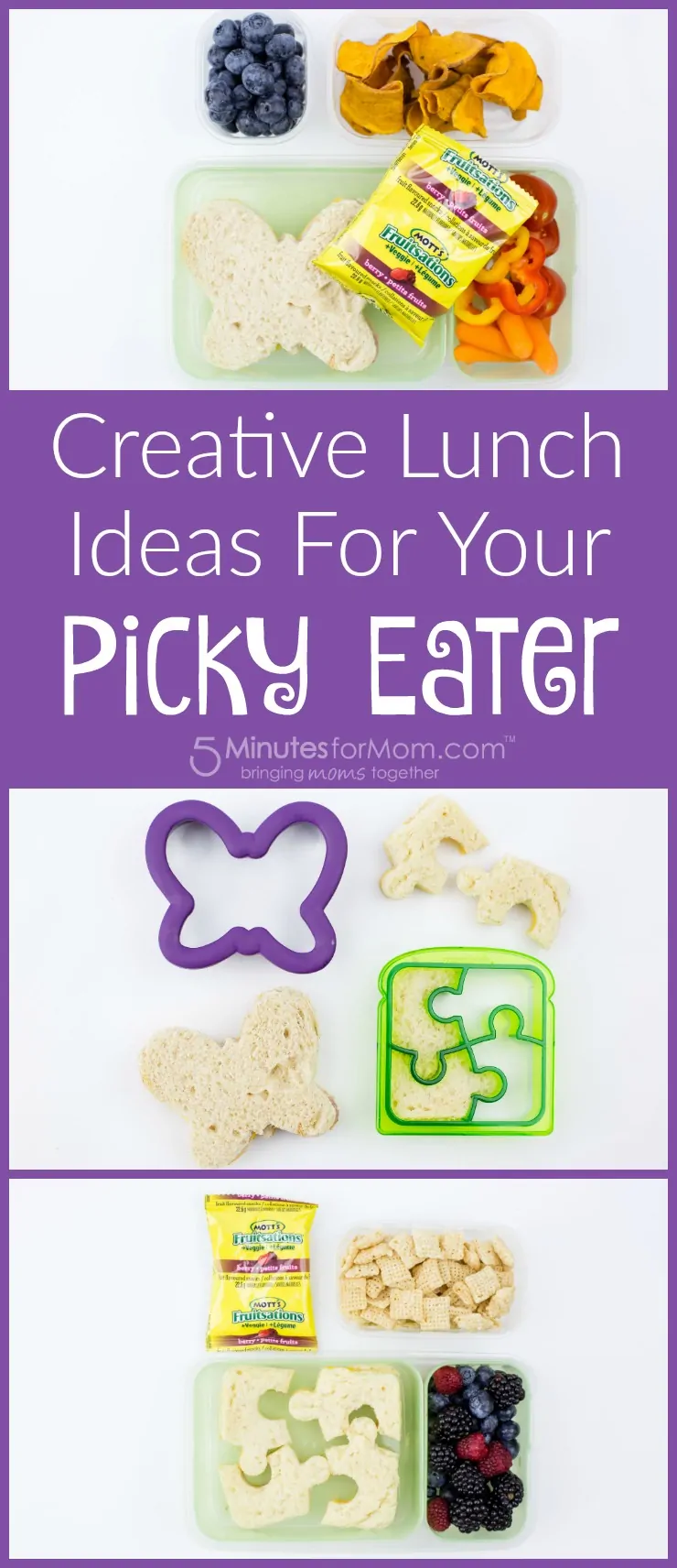 Creative Lunch Ideas for your Picky Eater