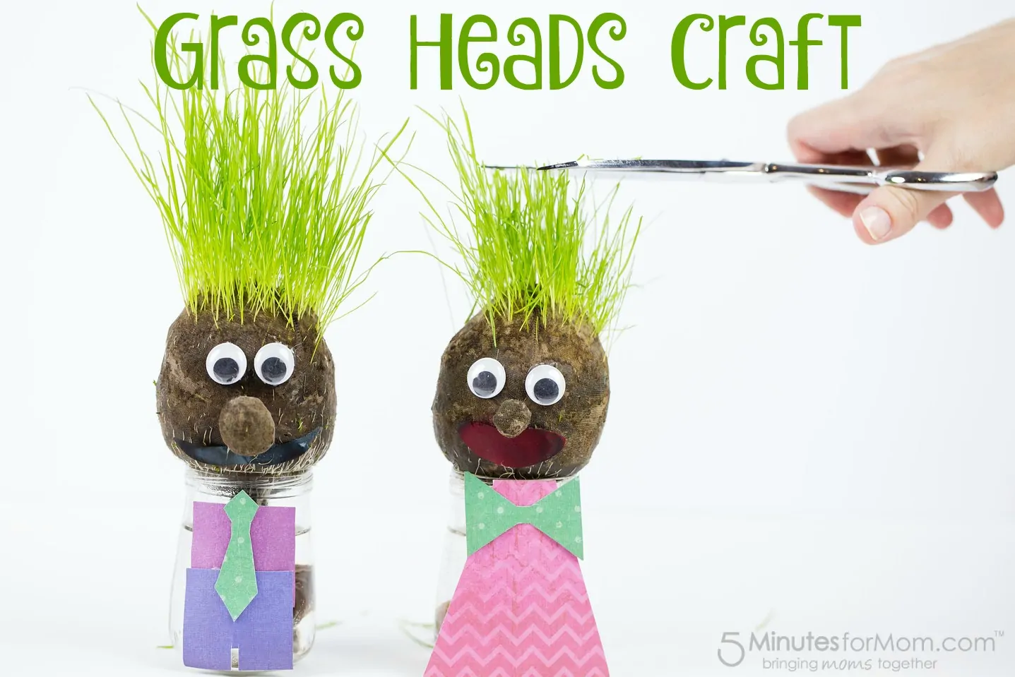 Grass Heads Craft for Kids